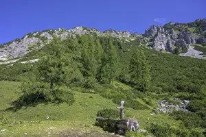 Styria Austria Impressions: Spring trough and Raidling in the background