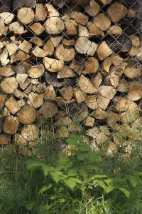 Stack Of Wood Impressions: Stack of firewood as background