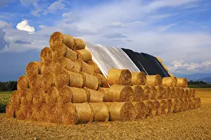 Daytime Agricultural Scene Impressions: Stack of round straw bales