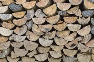 Wood Stacked High Impressions: A stack of split wood