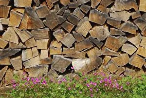 Renewable Energy Impressions: Stack of wood