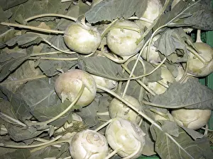 Green Vegetable Impressions: Stem cabbage