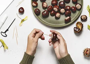 Handicrafts With Children Impressions: Step 2 Insert the toothpick into the chestnut