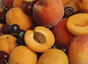 Stone Fruit Nutrition Impressions: Stone fruit