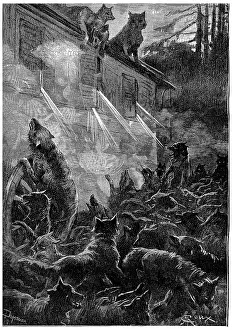 Vintage Wolf Illustration Impressions: Nothing can stop the rage of the beasts