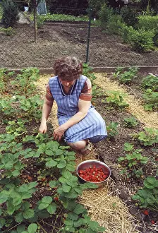 Female Farmer Impressions: Strawbery