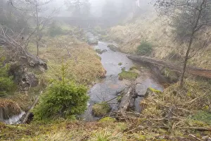 Harz National Park Impressions: Stream at the Oderteich, Nebel