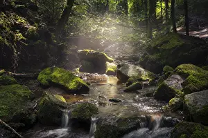 Overgrown With Moss Rocks Impressions: A stream with rocks and moss in diffuse sunlight