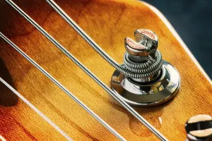 Music Instrument Details Impressions: Detail of strings and a tuning keys