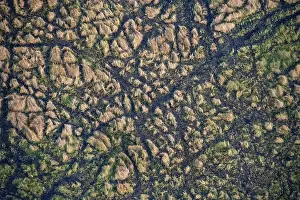 Botswana Landscape Photography Impressions: Structure and pattern, grass from above