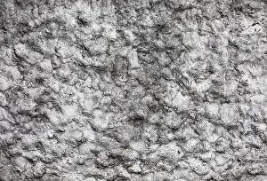 Whitewashed House Facade Impressions: Structure of a whitewashed house facade