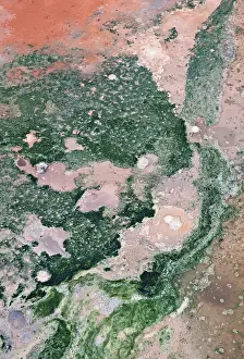 Icelandic Geothermic Energy Impressions: Detail of structures formed by algae