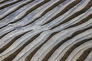 Sandy Beach Patterns Impressions: Structures, ripples in the sand
