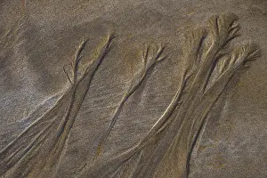 Sandy Beach Structures Impressions: Structures in sand on sandy beach