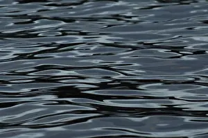 Water Surface Structures Impressions: Structures on water surface