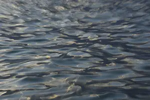 Abstract Background Images Impressions: Structures on water surface
