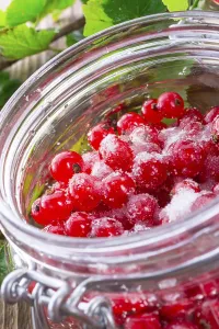 Red Currant Impressions: Sugared red currant