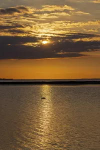 Bird Photography In Germany Impressions: Sun behind clouds, sunset, reflection