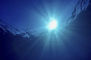 Underwater World Photography Impressions: Sun rays break through the surface of the ocean