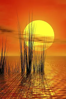 Sunset Atmosphere Impressions: Sunset