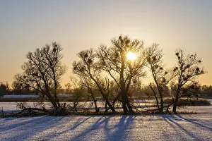 Deserted Wetland Landscape Impressions: Sunset in the Oder floodplains in winter