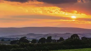 Devon Landscape Photography Impressions: Sunset over Torquay Fields, Devon