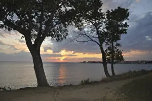 Cloudy Evening Sky Impressions: Sunset, tree, trees, two, evening