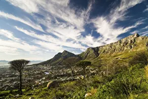 Table Mountain View Impressions: Table Mountain and Devil's Peak