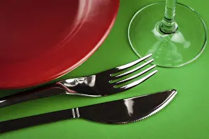 Porcelain Tableware Impressions: Table setting close up on green table