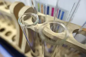 Laboratory Equipment Impressions: Test tubes