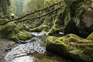 Southern Germany Nature Tourism Impressions: Teufelskuche, Devil's Kitchen