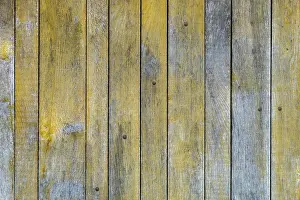 Wooden Wall Texture Impressions: Texture, background, plank wall