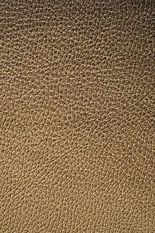 Deserted Building Surface Impressions: Texture of leather