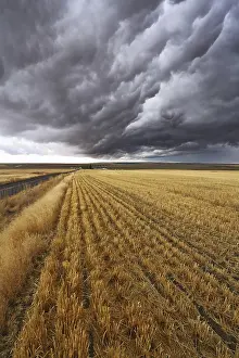 Montana Thunderstorm Impressions: Thunderclouds above fields after harvesting