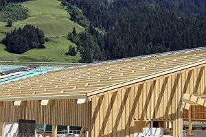 Residential Building Shell Construction Impressions: Timber construction, timber construction
