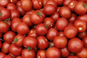 Tomato Nutrition Impressions: Tomatoes