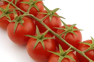 Red Vegetable Impressions: Tomatoes