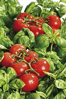 Vegetable Photography Impressions: Tomatoes on basil