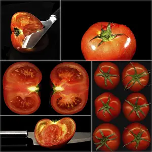 Tomato Collage Impressions: Tomatoes collage composition nested on a black square frame