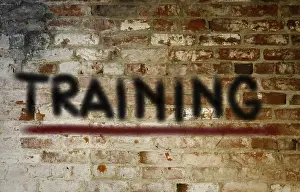 Professional Learning Impressions: Training Concept