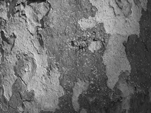 Central Europe Background Image Impressions: Tree bark as background, abstract structure