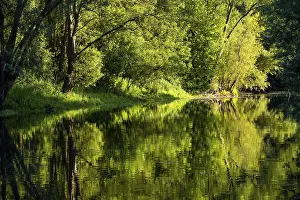 German River Scenery Impressions: Tree reflection in the river Lippe
