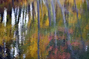 Autumn Leaves Reflection Impressions: Trees reflected in water surface