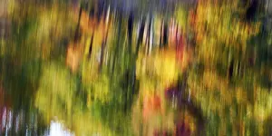 Autumn Leaves Reflection Impressions: Trees reflected in water surface