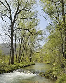 European Riverine Landscapes Impressions: Triesting river in spring, Triestingtal valley