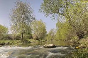 Springtime In Europe Impressions: Triesting river in spring, Triestingtal valley