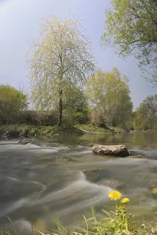 Deserted Countryside View Impressions: Triesting river in spring, Triestingtal valley