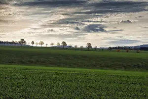 Hilly Countryside Photography Impressions: Undulating landscape with fields