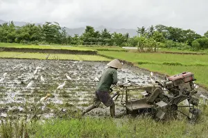 Traditional Farming Methods Impressions: An unrecognizable farmer in Java
