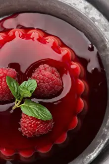 Vanilla Dessert Impressions: Vanilla pudding with raspberry and raspberry sauce